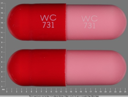 WC 731: Amoxicillin 500 mg Oral Capsule