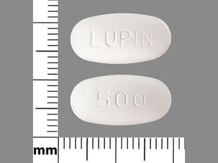 LUPIN 500: (68180-404) Cefprozil 500 mg Oral Tablet by Pd-rx Pharmaceuticals, Inc.