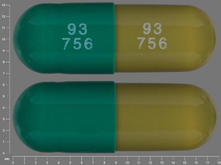 93 756 93 756 : (69189-0758) Piroxicam 10 mg Oral Capsule by Avera Mckennan Hospital